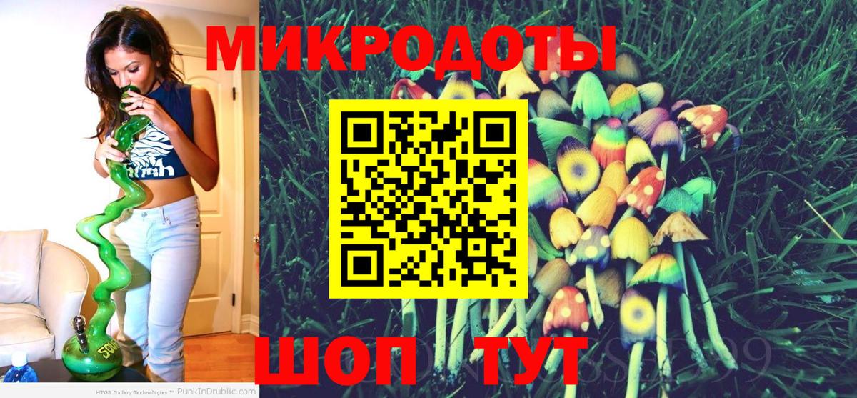 Псилоцибиновые грибы Cubensis Городец