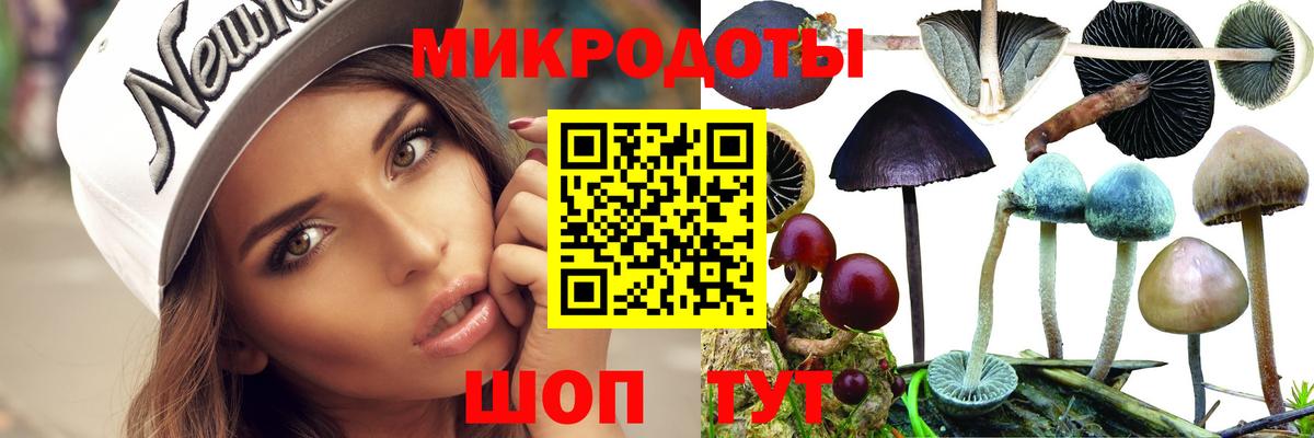 Городец  Псилоцибиновые грибы Psilocybine cubensis  Вход с VPN  Псилоцибиновые грибы прущие грибы 